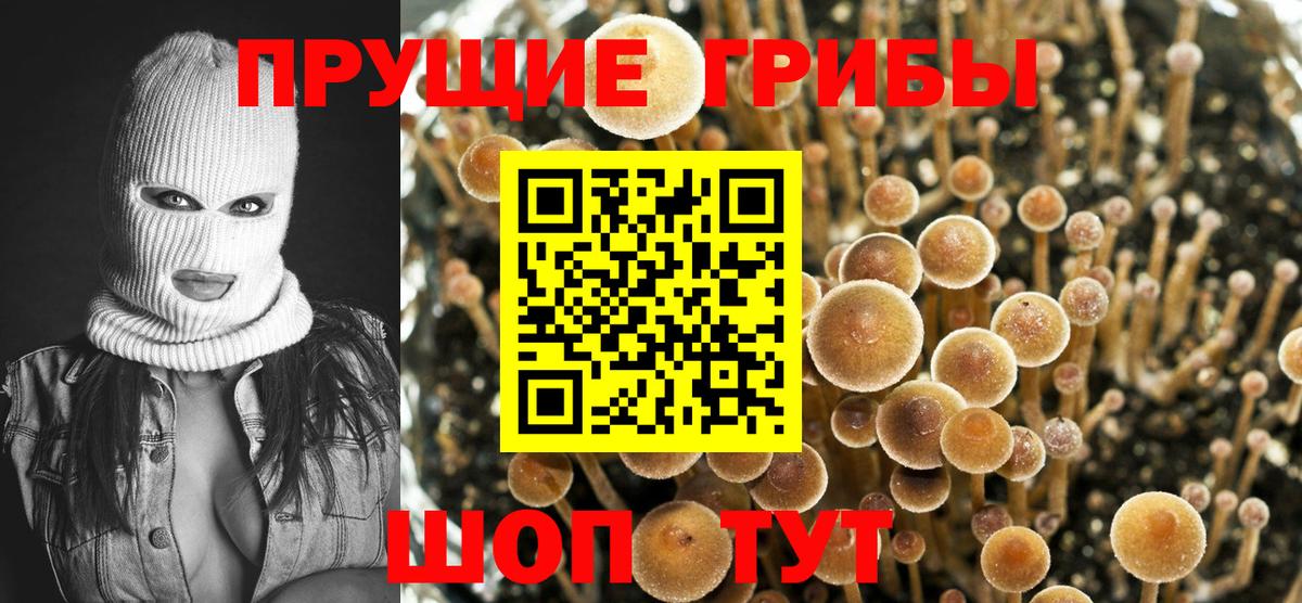 Галлюциногенные грибы ЛСД  Псилоцибиновые грибы Magic Shrooms  Чебоксары  Вход с VPN 